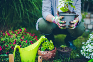 How to Create a Raised Garden Bed for Spring