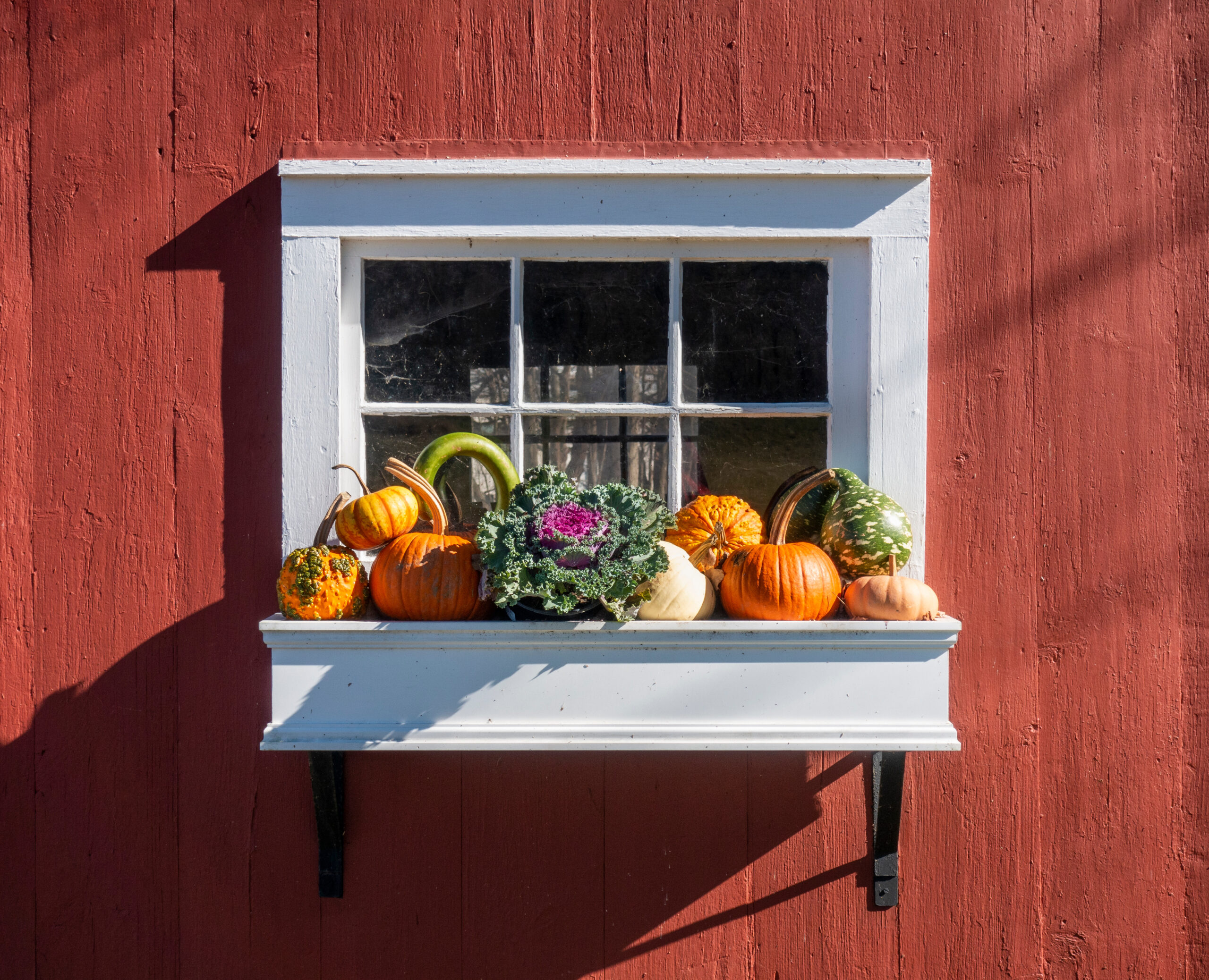 Halloween Window Boxes